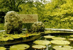 The Kid On The Go - Kampong, National Tropical Botanical Garden