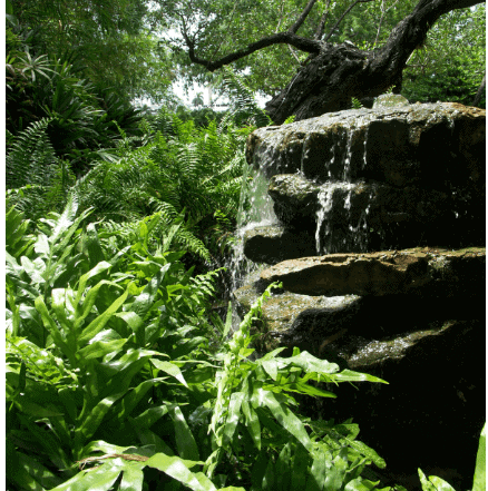 The Kid On The Go - Miami Beach Botanical Gardens