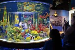 The Kid On The Go - South Florida Science and Aquarium