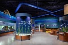 The Kid On The Go - South Florida Science and Aquarium