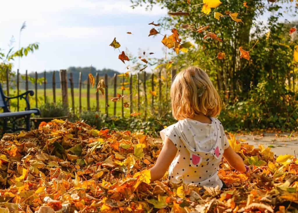 Kid Playing in Leaves - Immunity Booster