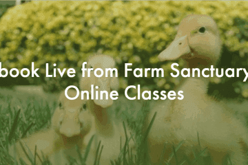 The Farm Sanctuary Classes