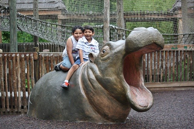 Kids Playing on Hippo