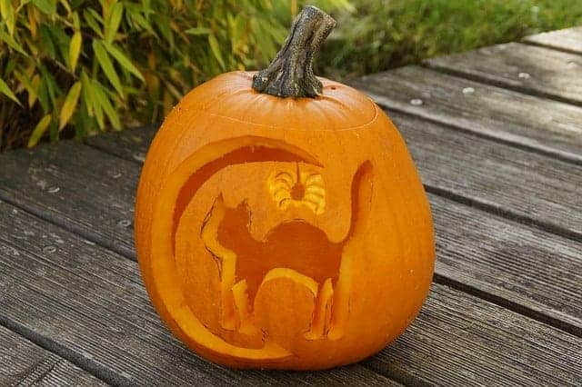 Alternative to Trick or Treating -Pumpkin Carved with a Cat and a Moon