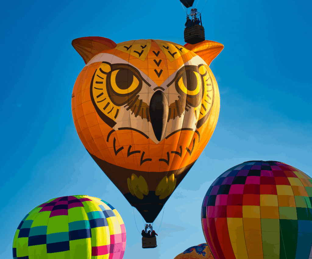 Owl on Hot Air Ballon