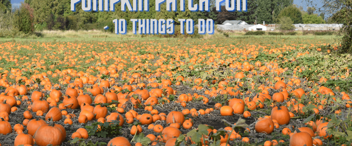 Pumpkin Patch Fun - 10 Thin