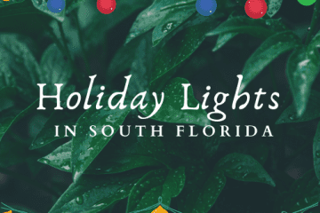 Holiday Lights in South Florida - 2020