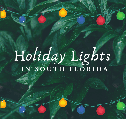 Holiday Lights in South Florida - 2020