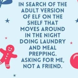 Humor - Elf on A Shelf