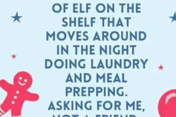 Humor - Elf on A Shelf