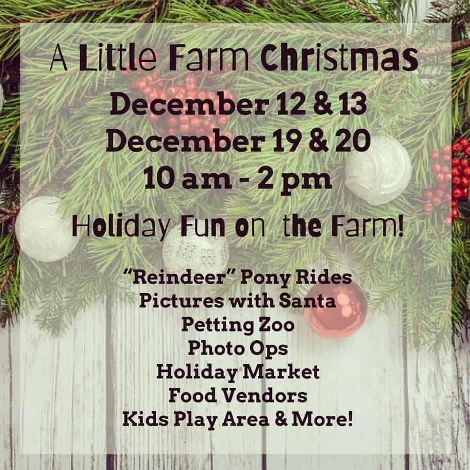 Little Farm - Christmas
