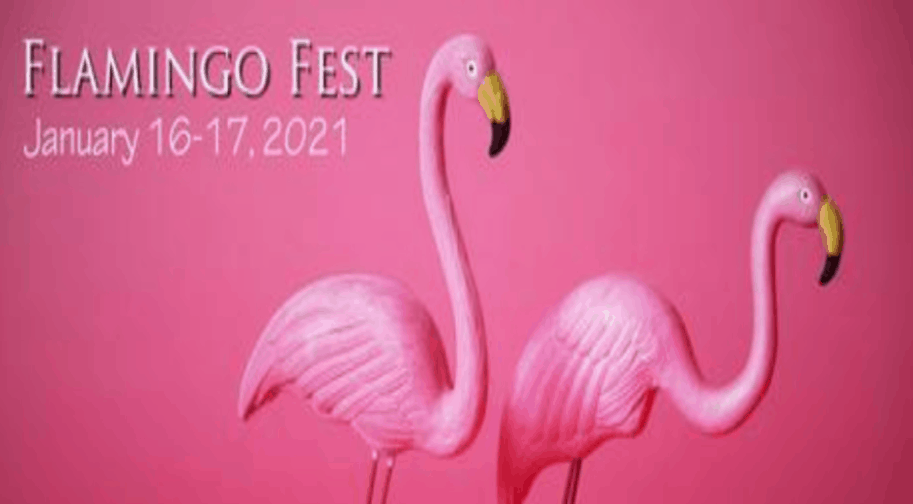 Flamingo Fest 21 The Kid On The Go