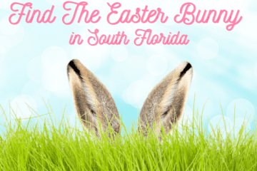 Where To Find The Easter Bunny in South Florida