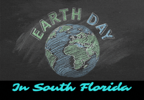 Earth Day In South Florida - Post