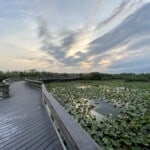 Everglades National Park - location