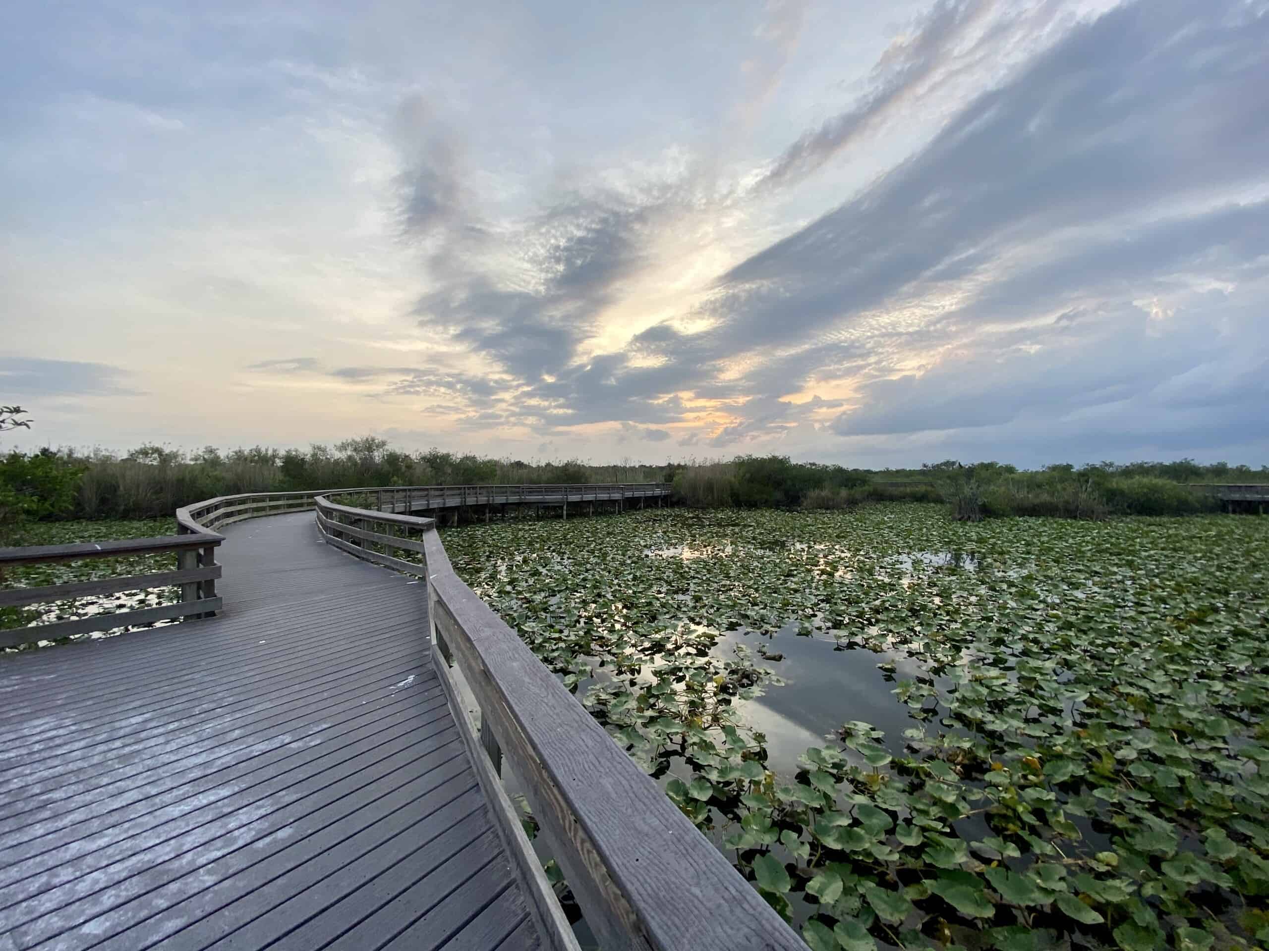 Free Entrance Days At Everglades National Park 2021 The Kid On The Go