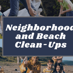 Neighborhood and Beach Clean-Up