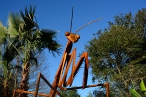 Big Bugs Sculptures Opening Weekend - Flamingo Gardens