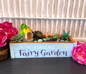 Board and Brush - Fairy Garden Workshop