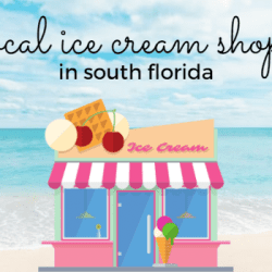 local ice cream shops - South Florida
