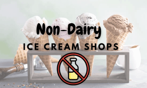 Non-Dairy Ice Cream Shops