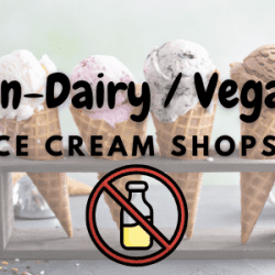 Non-Dairy- Vegan Ice Cream Shop