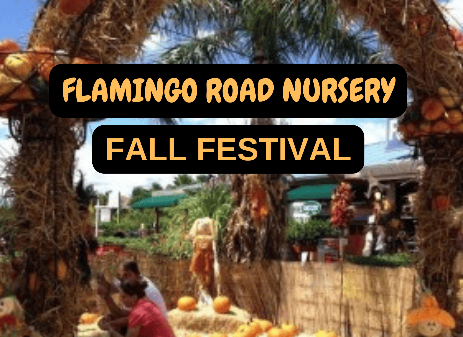 Flamingo Road Nursery - Fall Festival