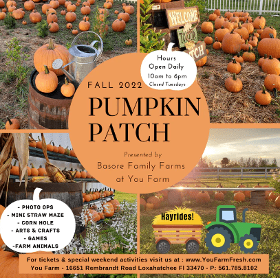 You Farm - Pumpkin Patch - 2022