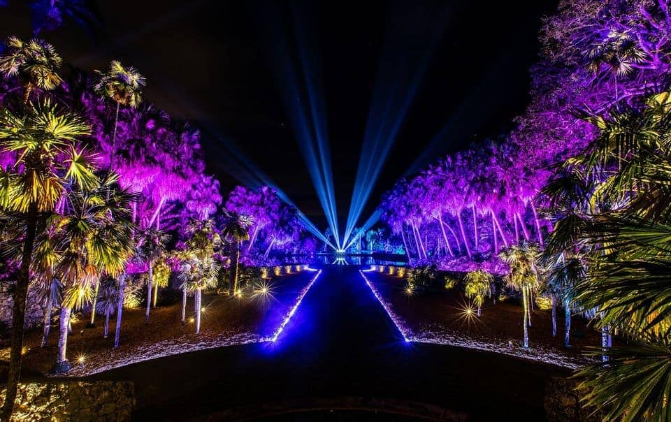 Fairchild Botanic Garden - Nightgarden Experience