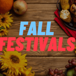 Fall Festivals!