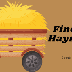 Find A Hayride