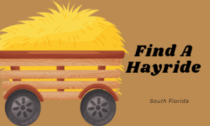 Find A Hayride