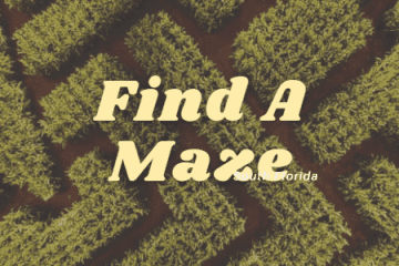 Find A Maze