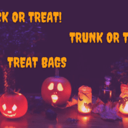 Trick-Trunk or Treat Bags