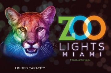 Zoo Miami - Zoo lights - 2021