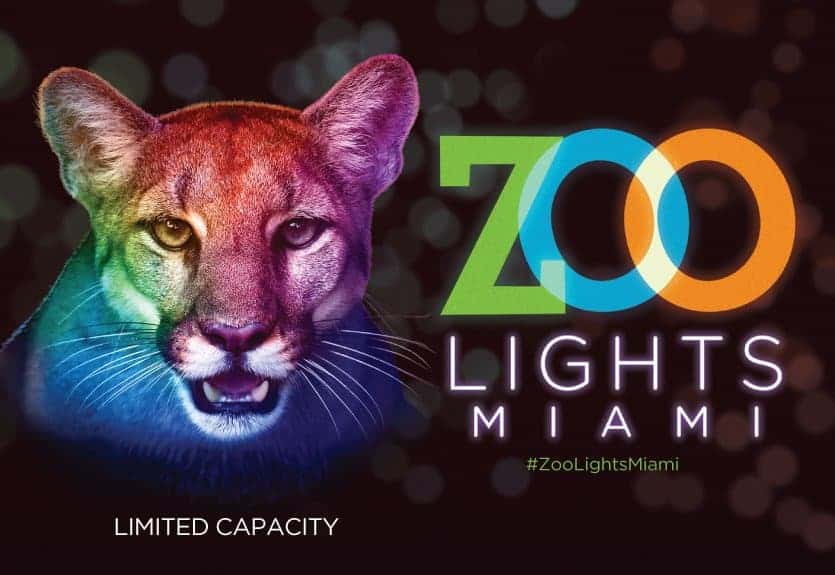 Zoo Lights Zoo Miami 2021 The Kid On The Go