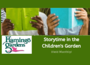 Flamingo Garden - Storytime
