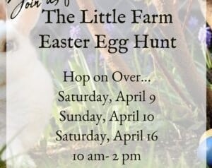 Little Farm - Easter Egg Hunt - 2022