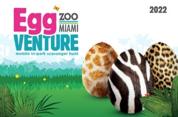 Zoo MIami - Egg Venture 2022