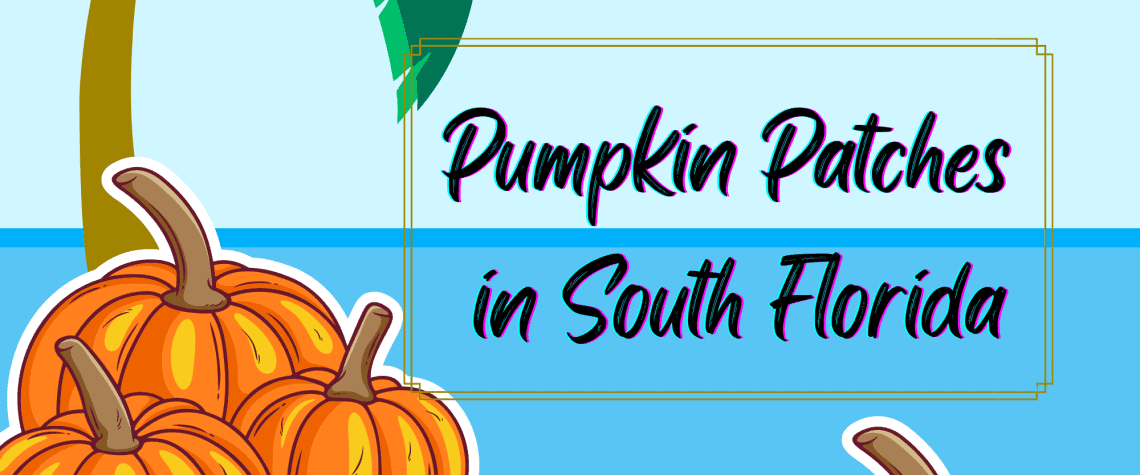Pumpkin Patches in South florida