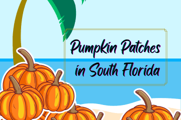 Pumpkin Patches in South florida