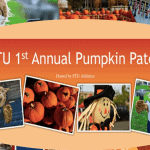 St Thomas University - Pumpkin Patch