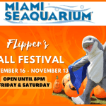 Miami Seaquarium - Flippers Fall Festival