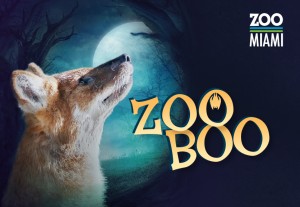 Zoo Miami - Zoo Boo - 2022