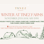 Tinez Farms - Winter Days