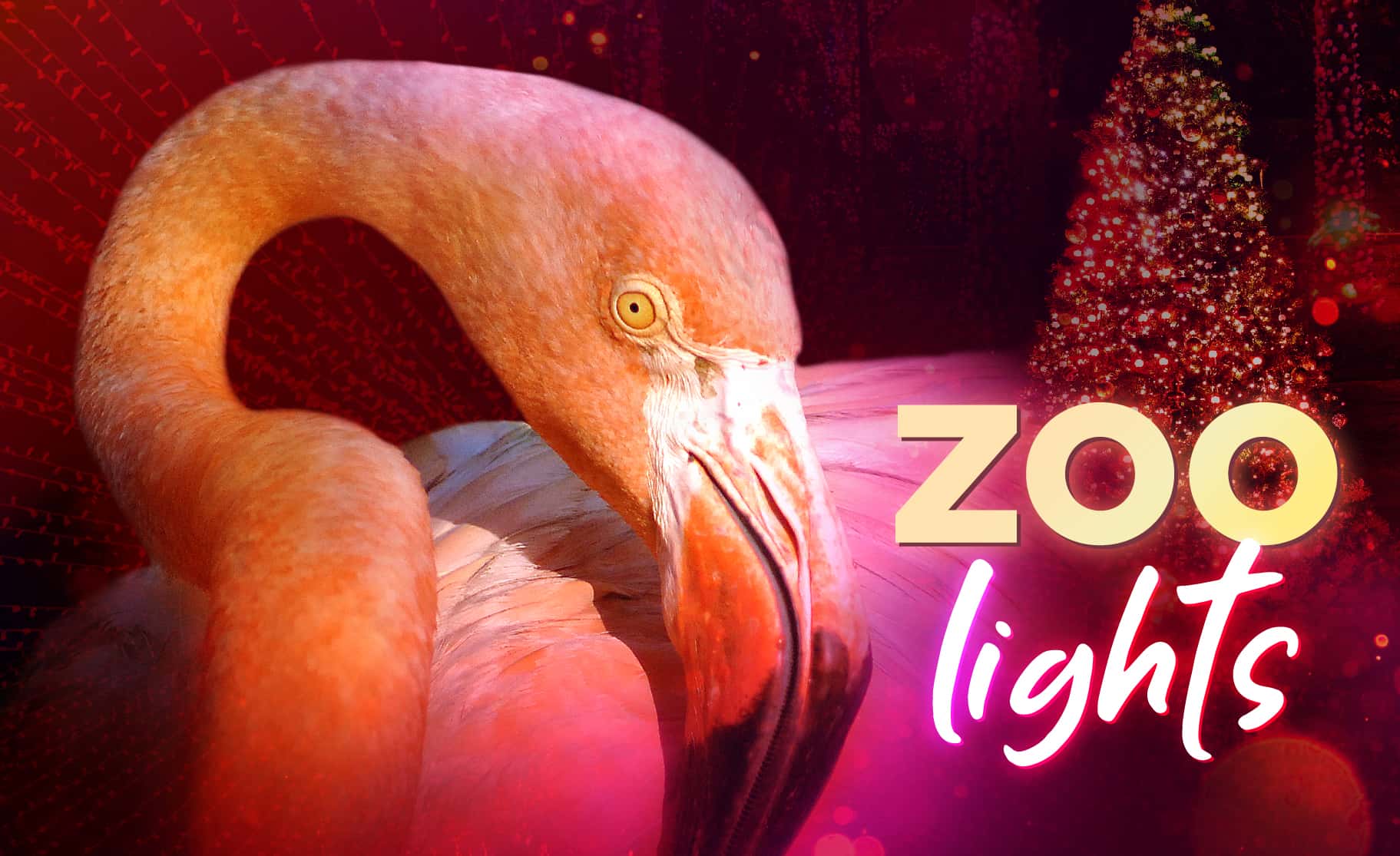 Zoo Miami - Zoo Lights - 2022
