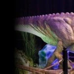 Cox Science Center and Aquarium - Dino Fest - 2023