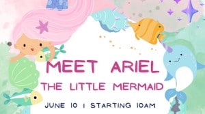 Festival Marketplace - Meet Ariel