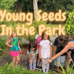 Heal-the-Planet - Young Seeds In The Park
