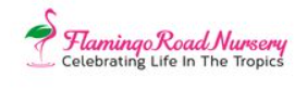 Flamingo Road Nursery – logo